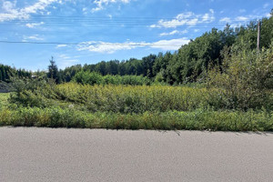 Działka na sprzedaż 1700m2 dąbrowski Olesno Oleśnica - zdjęcie 3