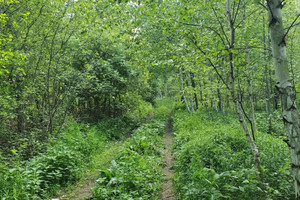 Działka na sprzedaż 11501m2 dąbrowski Dąbrowa Tarnowska - zdjęcie 2