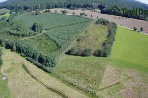 Działka na sprzedaż 3291m2 olecki Świętajno Połom - zdjęcie 2