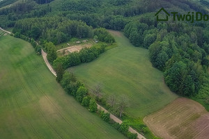 Działka na sprzedaż 21429m2 olecki Kowale Oleckie Szarejki - zdjęcie 1