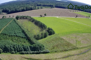 Działka na sprzedaż 3291m2 olecki Świętajno Połom - zdjęcie 3