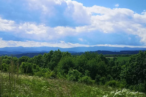 Działka na sprzedaż 1083m2 lwówecki Wleń Radomice - zdjęcie 3