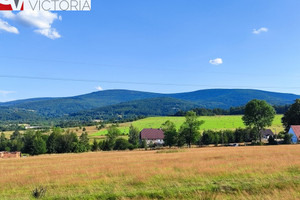 Działka na sprzedaż 1114m2 lubański Leśna Pobiedna - zdjęcie 1