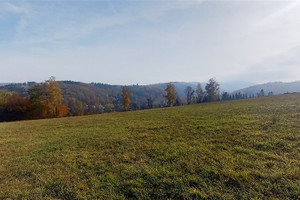 Działka na sprzedaż 3616m2 wałbrzyski Walim Zagórze Śląskie - zdjęcie 1