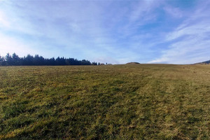 Działka na sprzedaż 3616m2 wałbrzyski Walim Zagórze Śląskie - zdjęcie 3