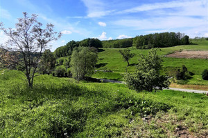 Działka na sprzedaż wałbrzyski Stare Bogaczowice Cieszów - zdjęcie 3