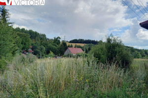 Działka na sprzedaż wałbrzyski Stare Bogaczowice Jabłów - zdjęcie 3