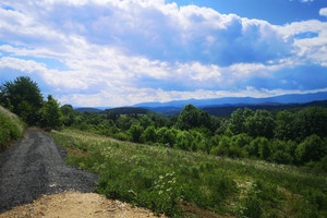 Działka na sprzedaż 1083m2 lwówecki Wleń Radomice - zdjęcie 2