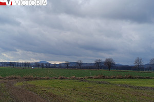 Działka na sprzedaż 1375m2 świdnicki Strzegom Olszany - zdjęcie 3