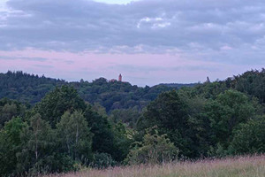 Działka na sprzedaż 19704m2 wałbrzyski Walim Niedźwiedzica - zdjęcie 1