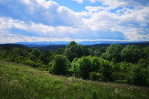 Działka na sprzedaż 1083m2 lwówecki Wleń Radomice - zdjęcie 1