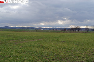 Działka na sprzedaż 1375m2 świdnicki Strzegom Olszany - zdjęcie 1