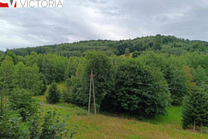 Działka na sprzedaż wałbrzyski Walim Olszyniec - zdjęcie 1