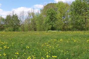 Działka na sprzedaż jaworski Bolków - zdjęcie 2