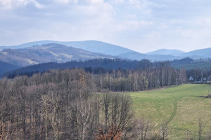 Działka na sprzedaż 2400m2 wałbrzyski Walim Zagórze Śląskie - zdjęcie 3