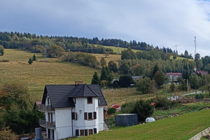 Działka na sprzedaż wałbrzyski Walim Rzeczka - zdjęcie 2