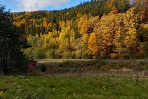 Działka na sprzedaż 8400m2 wałbrzyski Walim Michałkowa - zdjęcie 3