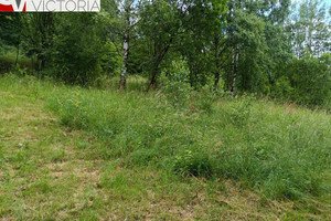 Działka na sprzedaż 3100m2 wałbrzyski Głuszyca Głuszyca Górna - zdjęcie 2