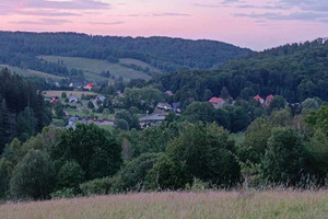 Działka na sprzedaż 19704m2 wałbrzyski Walim Niedźwiedzica - zdjęcie 2