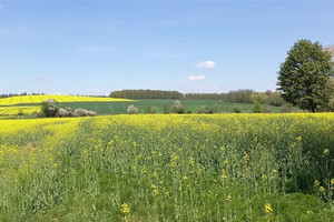 Działka na sprzedaż jaworski Bolków - zdjęcie 3