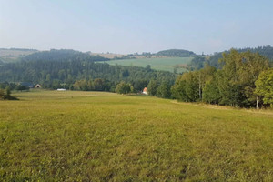 Działka na sprzedaż 63400m2 karkonoski Jeżów Sudecki Janówek - zdjęcie 1