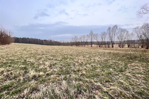 Działka na sprzedaż 4690m2 lwówecki Mirsk Rębiszów - zdjęcie 2