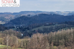 Działka na sprzedaż wałbrzyski Walim Zagórze Śląskie - zdjęcie 2