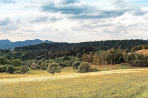 Działka na sprzedaż wałbrzyski Głuszyca Sierpnica - zdjęcie 2