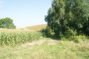 Działka na sprzedaż wałbrzyski Stare Bogaczowice - zdjęcie 2