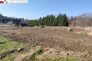 Działka na sprzedaż 1216m2 karkonoski Podgórzyn Staniszów - zdjęcie 3