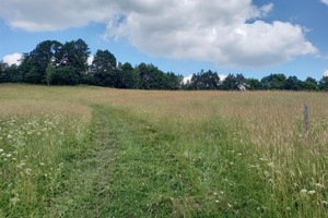 Działka na sprzedaż wałbrzyski Walim - zdjęcie 2