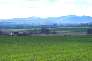 Działka na sprzedaż wałbrzyski Walim Dziećmorowice - zdjęcie 2