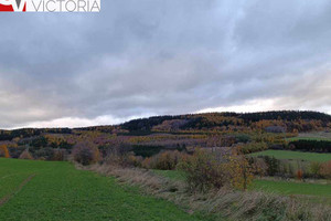 Działka na sprzedaż wałbrzyski Stare Bogaczowice Lubomin - zdjęcie 3