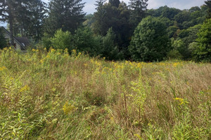 Działka na sprzedaż świdnicki Świdnica Lubachów - zdjęcie 2