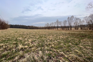 Działka na sprzedaż 4690m2 lwówecki Mirsk Rębiszów - zdjęcie 4