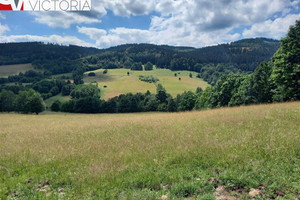 Działka na sprzedaż wałbrzyski Walim Jugowice - zdjęcie 2