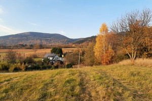 Działka na sprzedaż 9070m2 kłodzki Nowa Ruda Jugów - zdjęcie 1