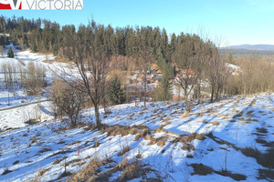 Działka na sprzedaż kłodzki Nowa Ruda Bartnica - zdjęcie 1