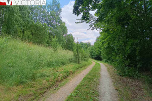 Działka na sprzedaż 3100m2 wałbrzyski Głuszyca Głuszyca Górna - zdjęcie 4