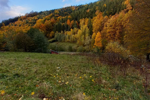 Działka na sprzedaż 8400m2 wałbrzyski Walim Michałkowa - zdjęcie 1