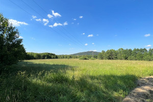 Działka na sprzedaż 10315m2 karkonoski Podgórzyn Sosnówka - zdjęcie 2