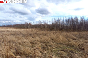 Działka na sprzedaż wałbrzyski Stare Bogaczowice Cieszów - zdjęcie 2