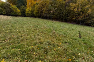 Działka na sprzedaż 8400m2 wałbrzyski Walim Michałkowa - zdjęcie 2