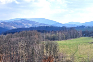 Działka na sprzedaż 2400m2 wałbrzyski Walim Zagórze Śląskie - zdjęcie 1