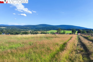 Działka na sprzedaż 1114m2 lubański Leśna Pobiedna - zdjęcie 3