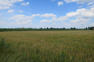 Działka na sprzedaż 1000m2 oleśnicki Oleśnica Nieciszów - zdjęcie 1