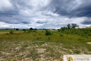 Działka na sprzedaż 1130m2 bytowski Borzytuchom Gabrieli Zapolskiej - zdjęcie 2