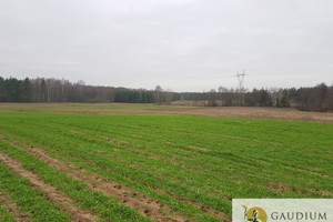 Działka na sprzedaż 25631m2 tczewski Tczew Wędkowy - zdjęcie 2