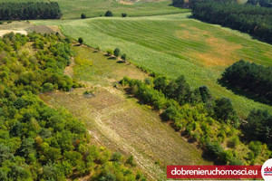 Działka na sprzedaż 3029m2 bydgoski Sicienko Dąbrówka Nowa - zdjęcie 3