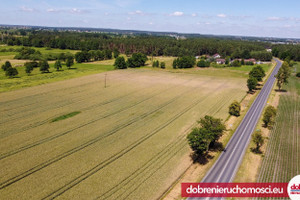 Działka na sprzedaż 48383m2 nakielski Szubin Kowalewo - zdjęcie 1